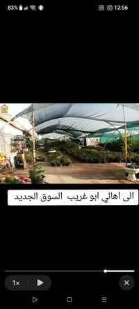 ابو غريب • قص ثيل • ثيل هندي