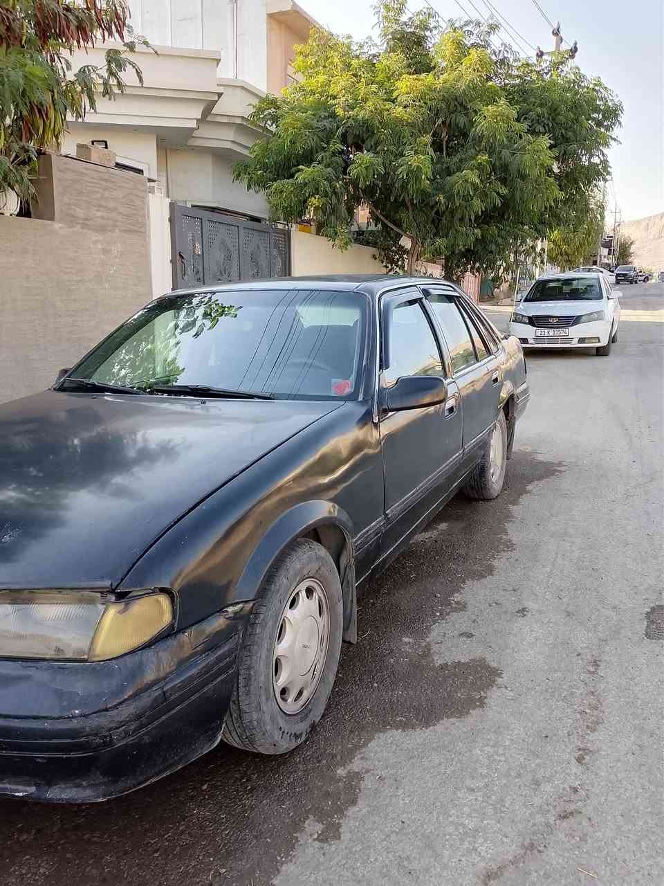 برنس • ١٩٩٥ • رقم ديالى