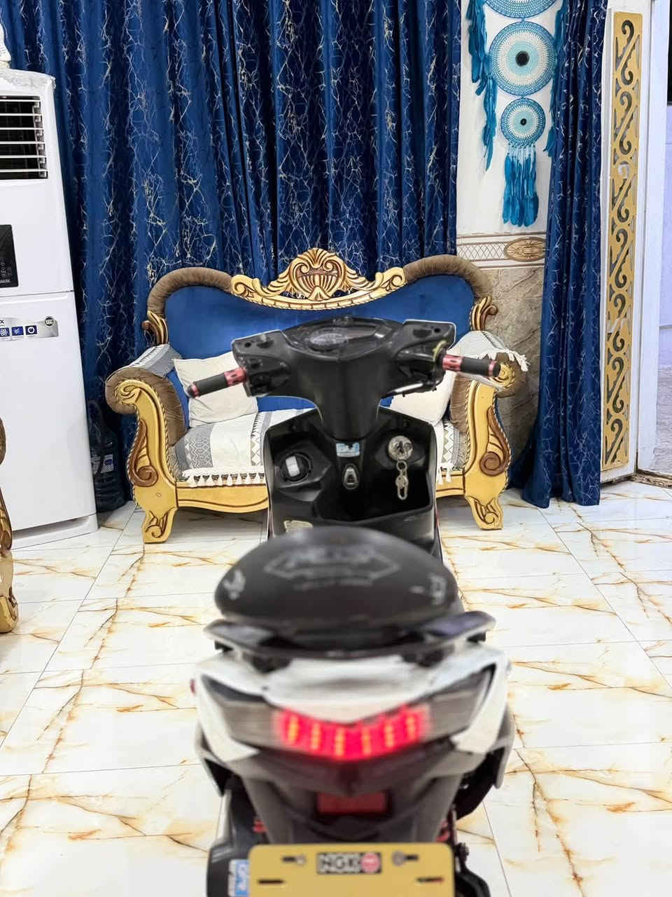سكنس • ياباني • مكفوله
