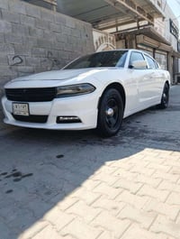 جارجر بوليسي • ٢٠١٩ • ابي الخصيب