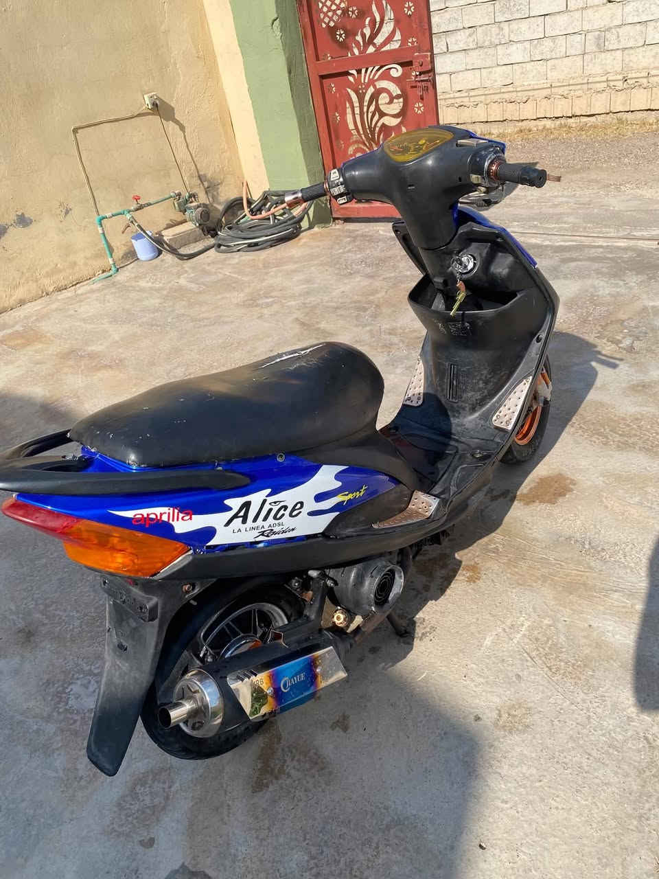 ماكس • كله شغال