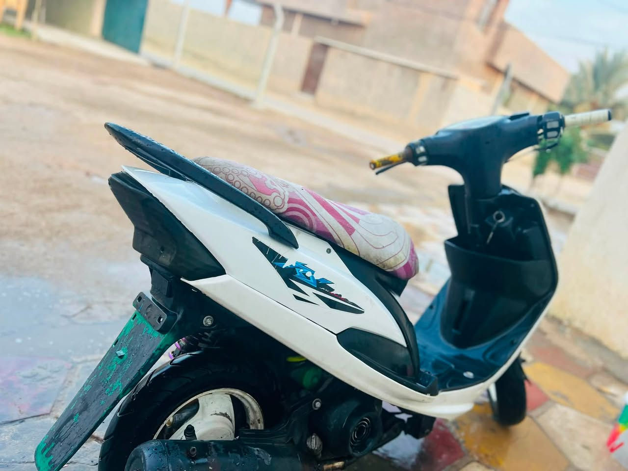 ماكس عدلة • فول • زينون
