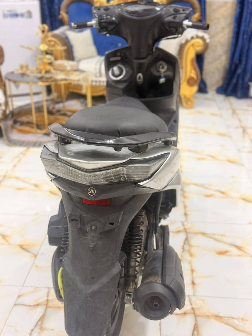 سكنس • ياباني • مكفوله