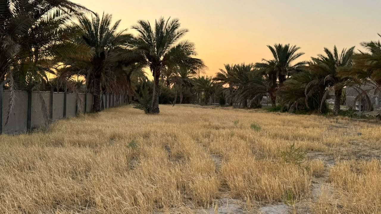 ✅سلام عليكم اخوان 2000متر سنتر عله تبليط 
✅بيه مي اساله وكهرباء ومي سقي ومسيجه Brs

طابو زراعي سند 25 تحويل مباشر 📝

الموقع خلف جامعة ناحية ابراهيم الخليل 

لمعرفه السعر وباقي التفاصيل اتصل وتدلل ***********احمد التميمي
