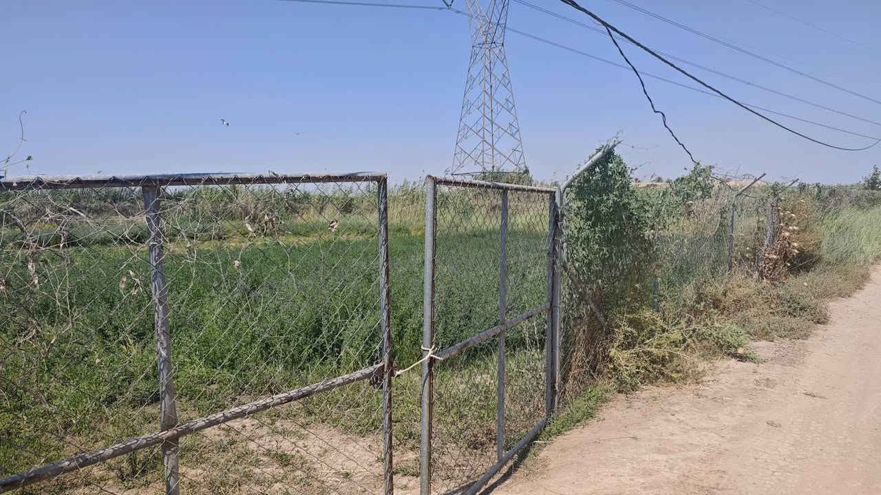 ​📍 أرض زراعية للبيع — موقع مميز في بغداد (الرضوانية الشرقية)
فرصة ممتازة للاستثمار أو الشراء الشخصي بالقرب من الخدمات 

​المواصفات والتفاصيل:

​📐 المساحة: دونم واحد (2,500 متر مربع).

​📍 الموقع: بغداد — الرضوانية الشرقية (تبعد 8 دقائق فقط بالسيارة عن جسر معمل زينب). 

​📜 السند والملكية: عقد زراعي قانون 25 (حق تصرف مفوضة بالطابو).

​⚡ الكهرباء: متوفرة وواصلة للموقع.

​💧 المياه: متوفر ماء إسالة (شبكة ماء شرب).

​🌊 الري والصرف: مجاورة لماء البزل مباشرة (تسهل عمليات الري).

​المميزات:

​موقع قريب جداً وسهل الوصول إليه بالقرب من جسر معمل زينب.

​أرض مخدومة بالكامل بالبنية التحتية الأساسية (كهرباء + ماء إسالة).

​صالحة لإنشاء مزرعة، بستان خاص، بيت استجمام، أو مشروع زراعي/حيواني واعد.

📞 للتواصل والاستفسار: على الخاص او على الرقم ***********
