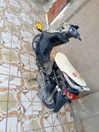 فراشة • مامفتوح • نجف