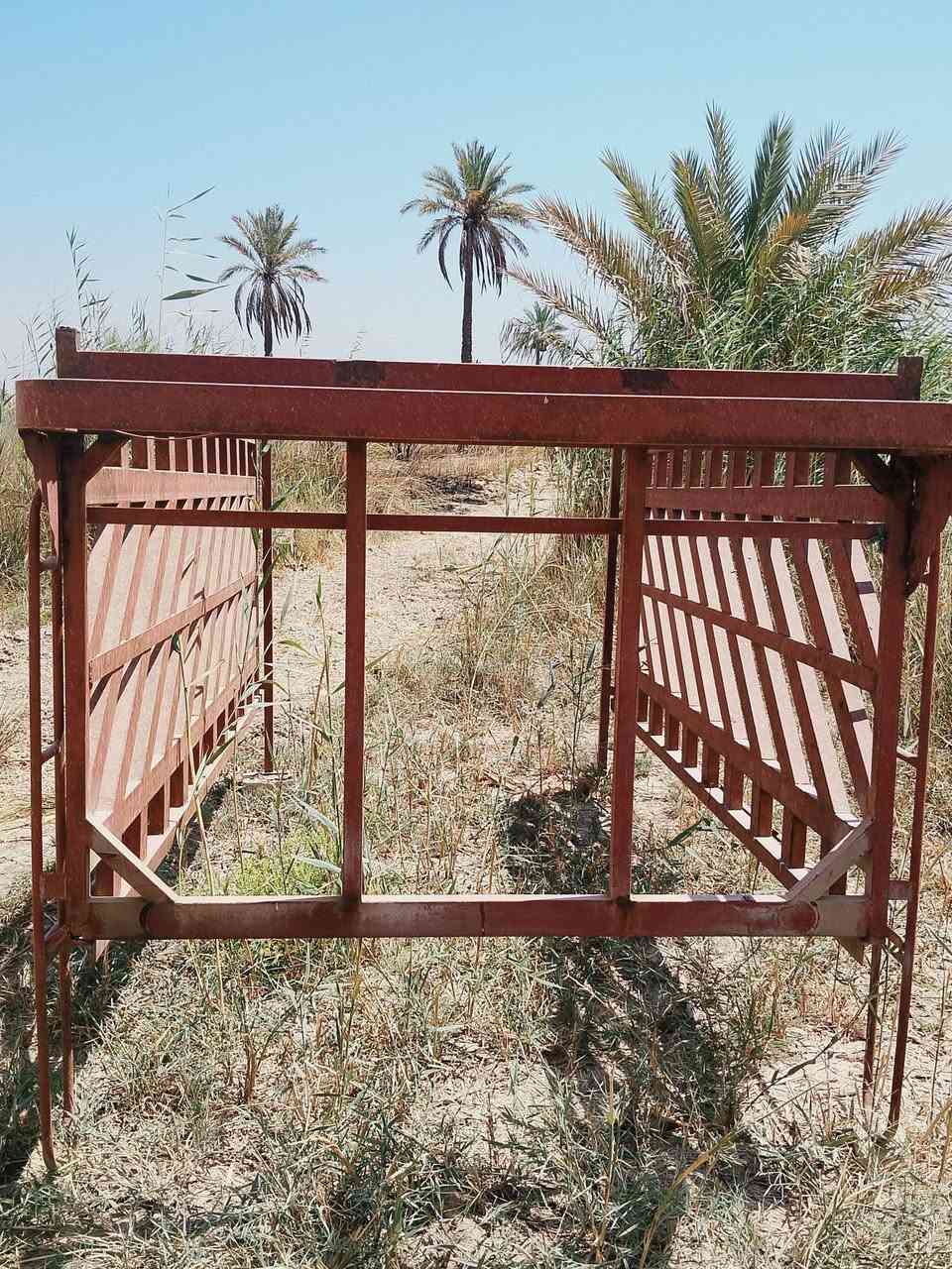 محجر كيه فحل للبيع ***********
