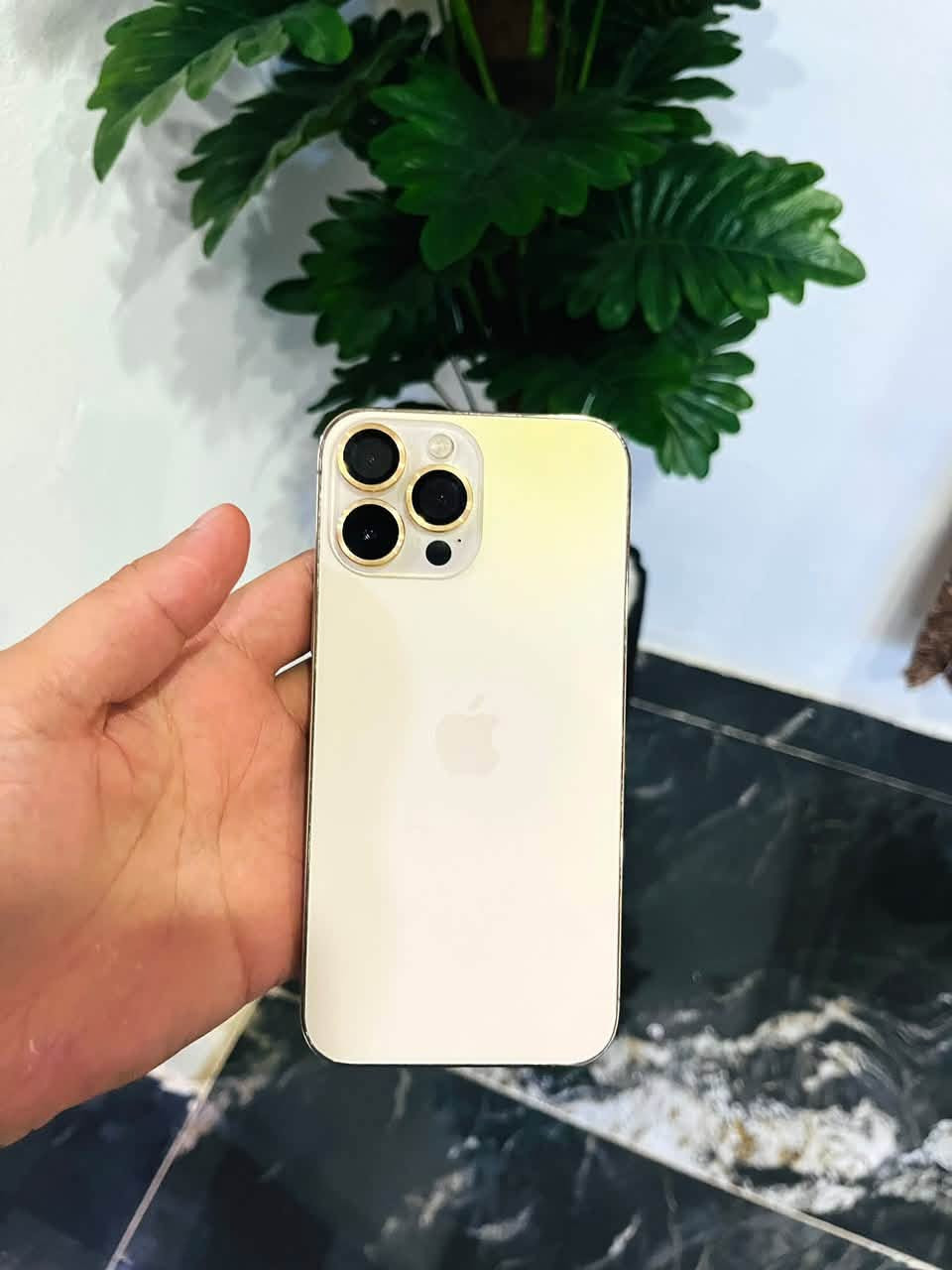 13 برو ماكس 😳
لون مميز ذهبي جلخ وحد مبي ضمان سبوع 
ذاكر128
بطاريه 100
Zaدبل سيم
مستبدل شاشه وبطاريه اصلي فيس ايدي شغل 
جهاز كله شغل بدون اي عطل كامره فول😍 
سعرو ٤٨٠ وبي مجال كلش بسيط رقمي ***********
تواصل فقط واتساب

نص مكتوب في الصور:
- 9:16 LTE
- حول
- الاسم
- iPhone
- إصدار iOS
- 26.6.1
- اسم الطراز
- iPhone 13 Pro Max
- رقم الطراز
- MLH63ZA/A
- الرقم التسلسلي
- XPXWHVY77M
- انتهت صلاحية التغطية
- سجل تاريخ القطع والخدمة
- الأغاني
- الفيديوهات
- ٣٠٢
- الصور
- ٨٧٦
- التطبيقات
- السعة
- ٤١٢,٨ غيغابايت
- متوفرة
- ٥٠,٤ غيغابايت