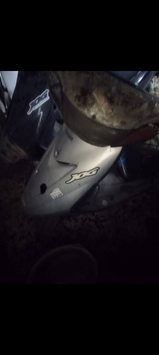 عصفوريه ستين • نواقص • شغاله