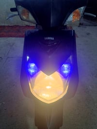سكنس فحل • ياباني • ١٢٥