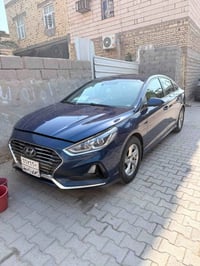 ٢٠١٩ • وارد امريكي • رقم اربيل