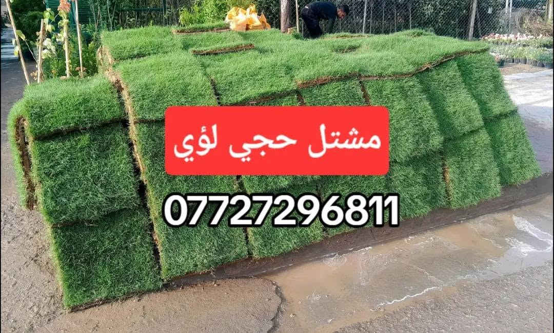 🌿🔥 ثيل هندي درجة أولى وبسعر مميز! 🔥🌿

تريد تسوي حديقتك خضراء ومرتبة؟ 😍
وفرنا لك الثيل الهندي درجة أولى 🌱💚
جودة ممتازة، كثافة حلوة، ومناسب للحدائق والمساحات الخارجية.

💰 سعر المتر: 2,000 دينار فقط
📦 أقل طلب: 50 متر فما فوق
🚚 التوصيل داخل بغداد فقط

📞 للطلب والاستفسار:
***********

🌱 مشتل حجي لؤي
لا تفوّت العرض، وخلي حديقتك تصير غير شكل 💚🔥

#ثيل_هندي #ثيل #عشب_طبيعي #حدائق #تنسيق_حدائق #مشتل_حجي_لؤي #بغداد #نباتات #زراعة #حديقة #عشب_بغداد #ثيل_بغداد #تنسيق_حدائق_بغداد #عروض_بغداد
