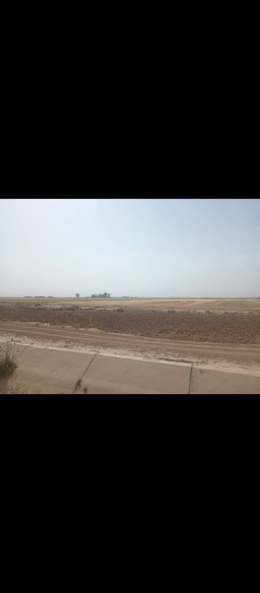 طريق شاشه سوان • ارض زراعي • ٥ دونم
