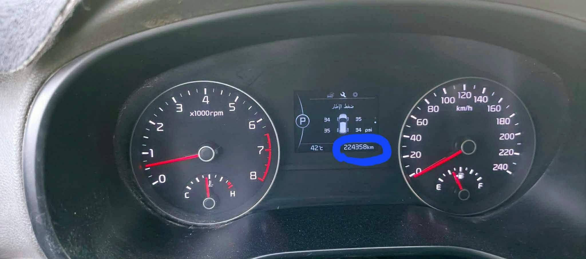 سبورتج • ٢٠١٧ • رقم نجف