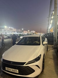 فول اوبشن • أصفر • أربيل
