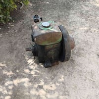 خنزيره • هنديه • ٦م٧٠سم