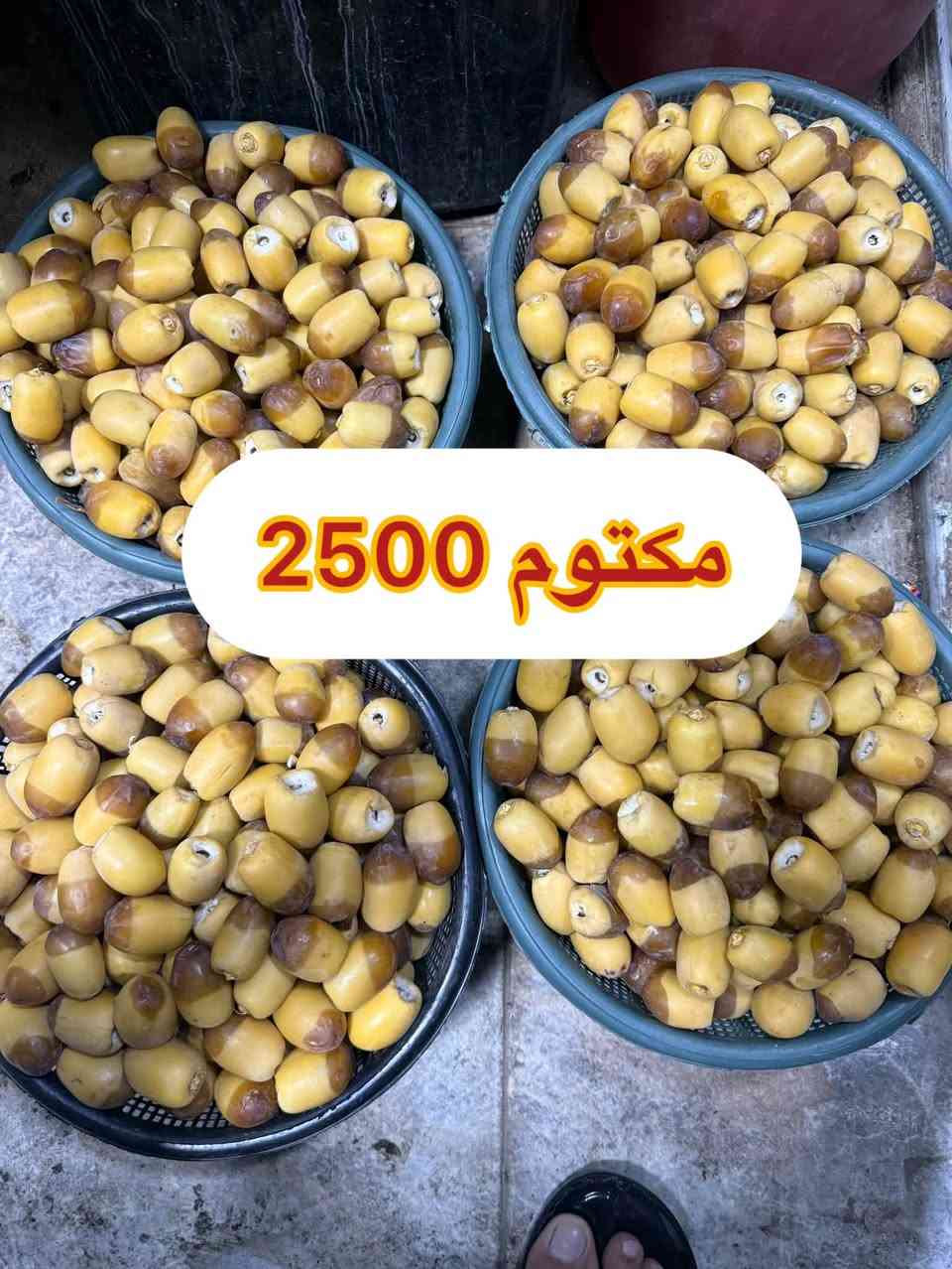 اسعارنا ليوم الثلاثاء 9/22 كوت الزهراء مجاور مكتبة روتانا 
للتوصيل واتساب 

‭***********‬

نص مكتوب في الصور:
- 750
- 2000
- مكتوم 2500
- 3000