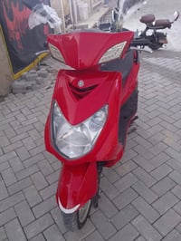 سكنس فحل • مكفوله