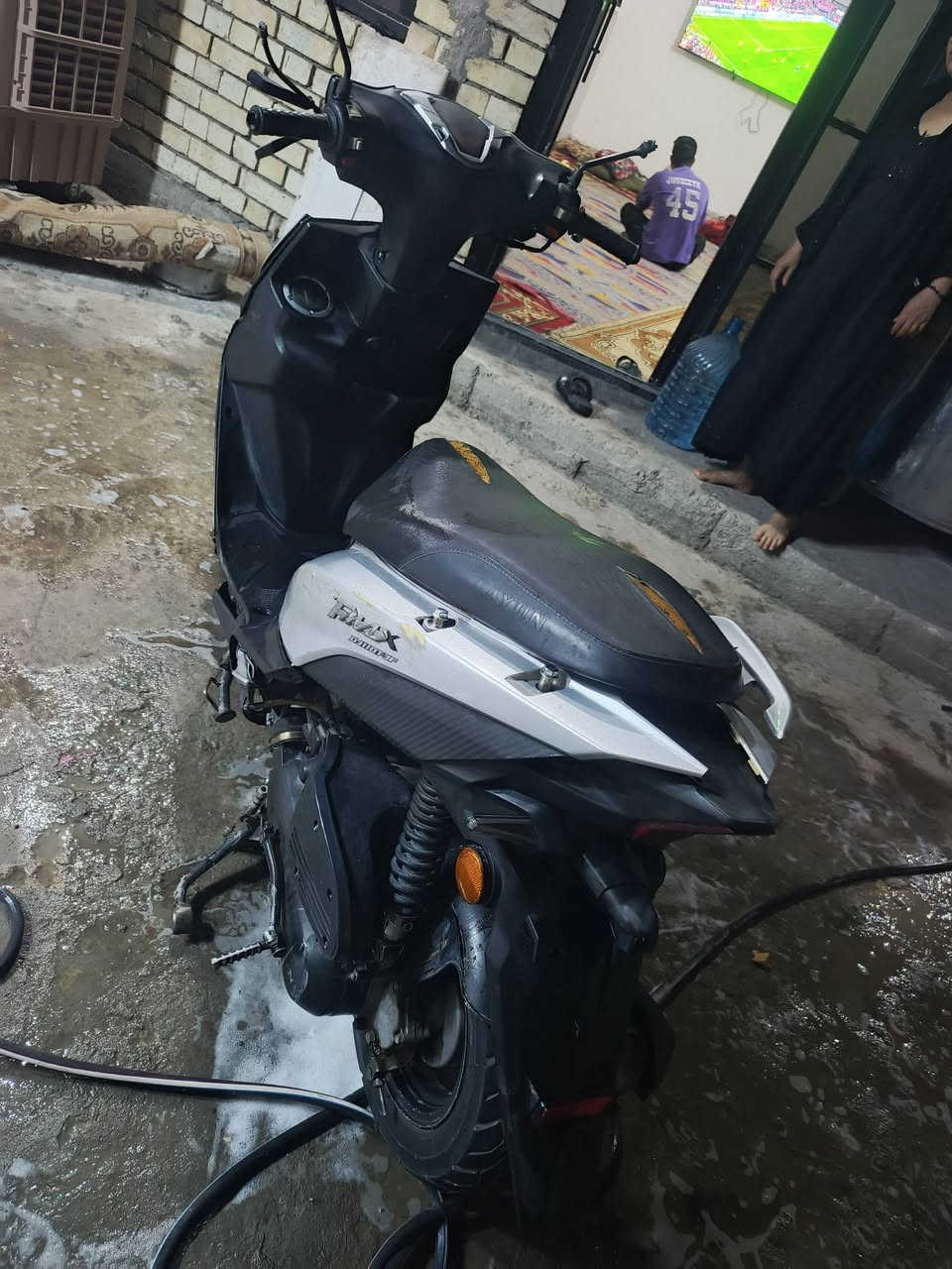 ماكس ثعلب • مضلع • ٢٠٢٤