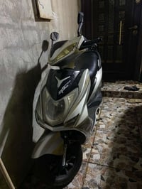 سكنس • ما بيه عيب • كله شرط