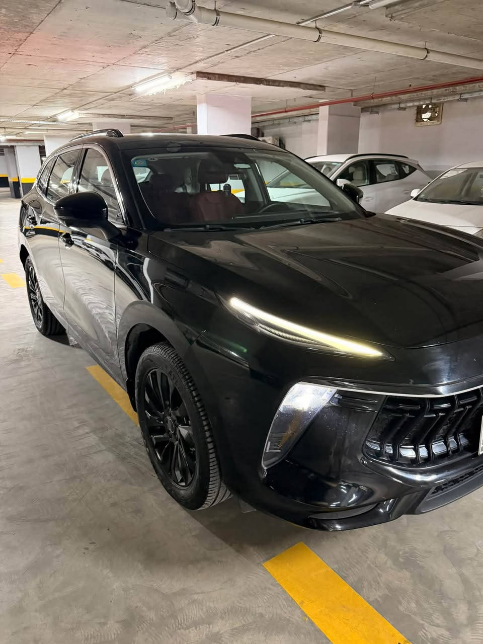 T5 EVO • ٢٠٢٤ • ١٥٠٠ تيربو