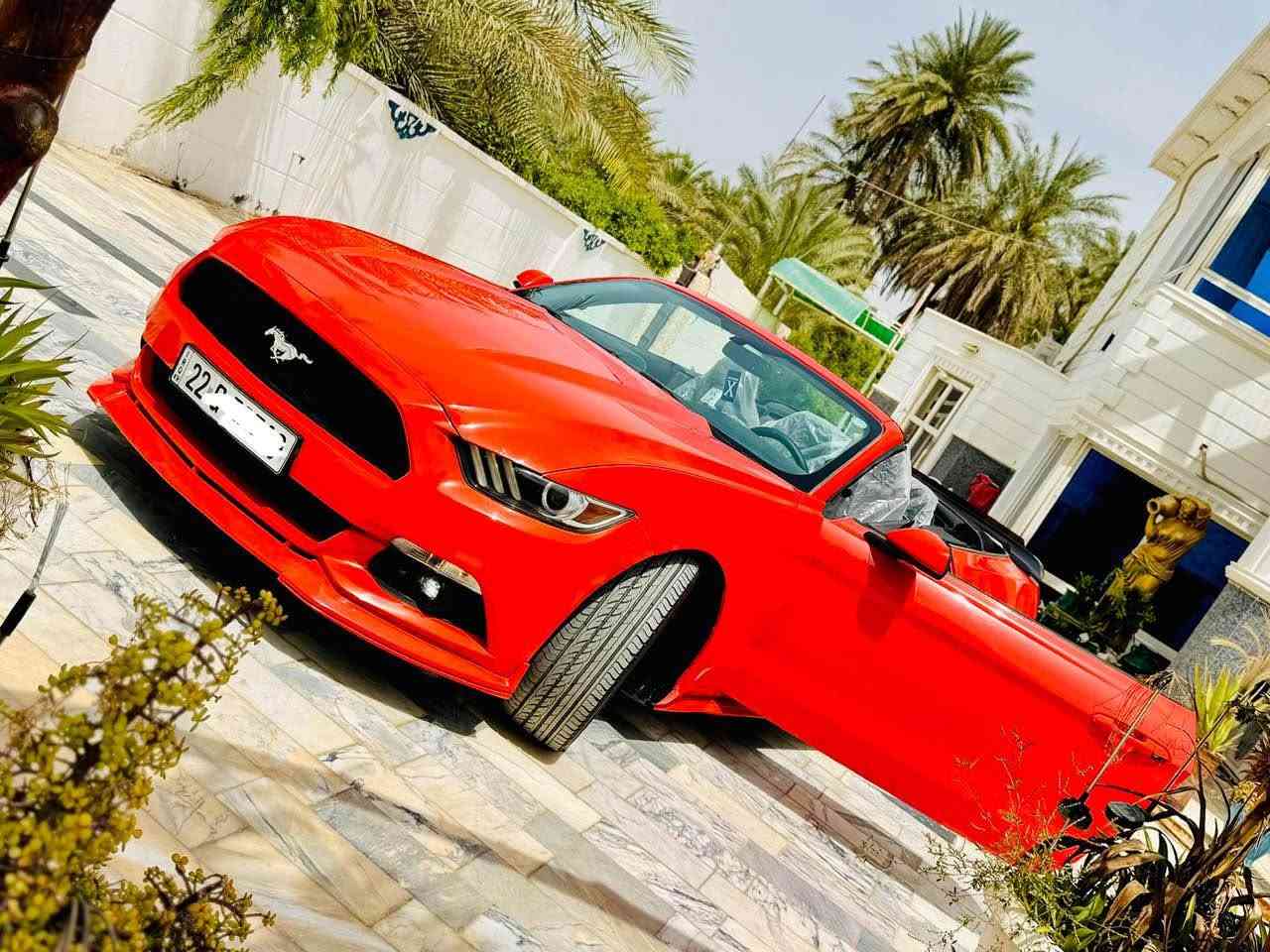 فورد موستنك 2015 للبيع 

محرك 3700 6v

لون مميز 

مواصفات السته سلندر المعروفة 

السيارة عليها تفريغ وبرمجة سيفتي 

عليها داون بايب 

دبات ht power + كت اوف و ببكورن 💥💥  

صوتها يخبل 

وتحكم ريمونت يعني اذا تسدة تصير كاتم 

وعليها بونيد GT 

دعامية وشباك GT + سبايدر 

وسكوبات مثلث جانبية 

وداخل جديد ومدوشم مشمشي + اسود 

تبريدها ثلج ❄️ 

شاشة صغيرة + كامرة 

وتحكم ستيرن + مثبت سرعة 

ومسويلها بوليش + نانو سيراميك 

لايت مشتغلة عدسات بليل نهار يصير

السيارة كلين

الحمدلله السيارة كاملة مبيها نقوصات رقم اربيل جديد + سنوية لحد 2031 تحويل ثاني يوم 
العنوان بغداد *********** بغداد, العراق
