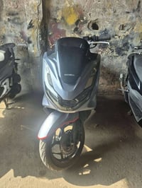 PCX • كوري • كفالة
