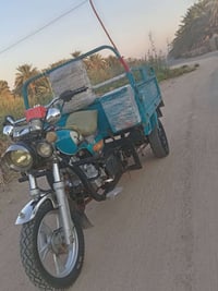 ستوته • ٢٠٢٣ • اوراق