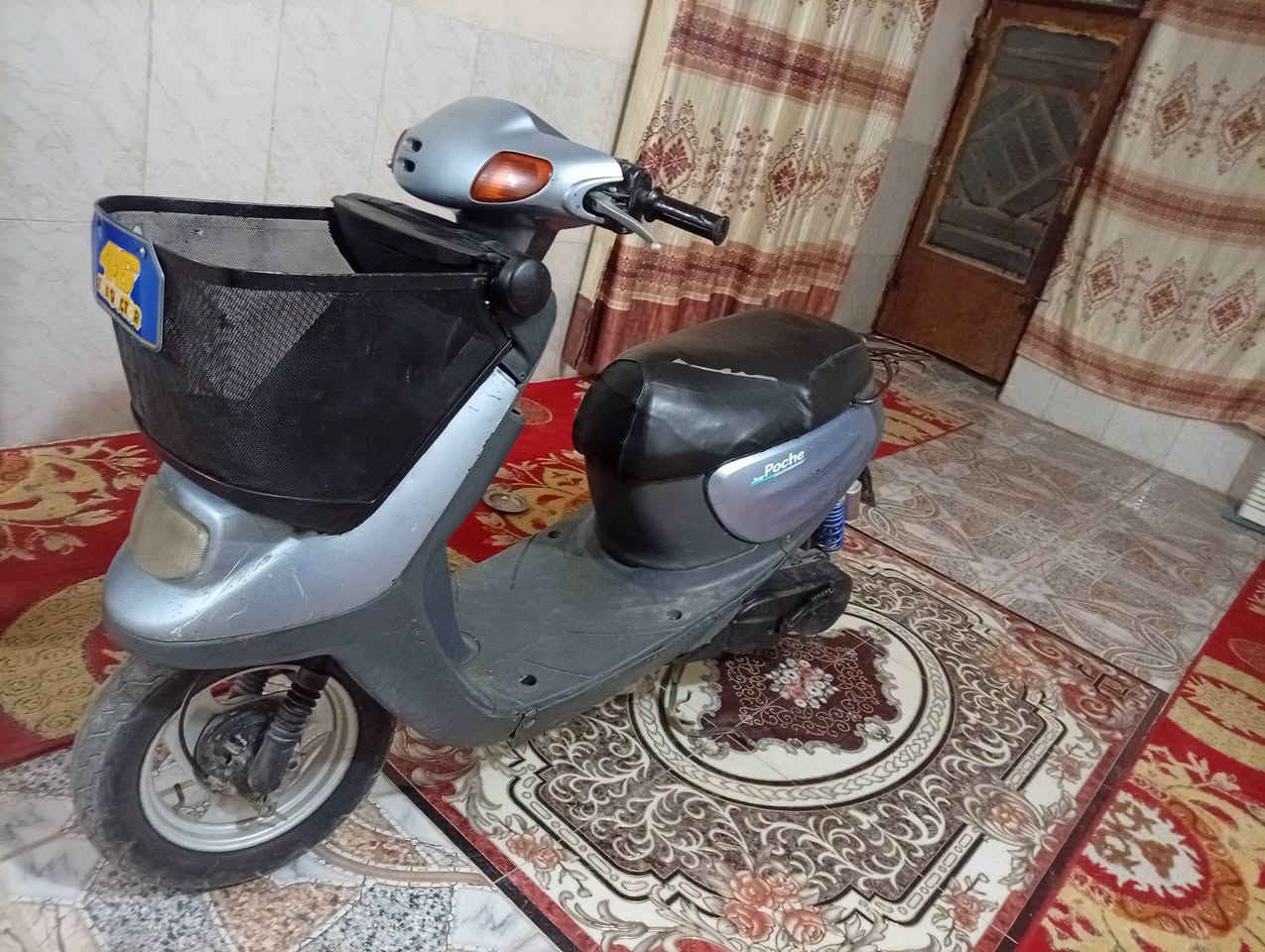 منغولي • ٢٠٠٣ • مفتوح