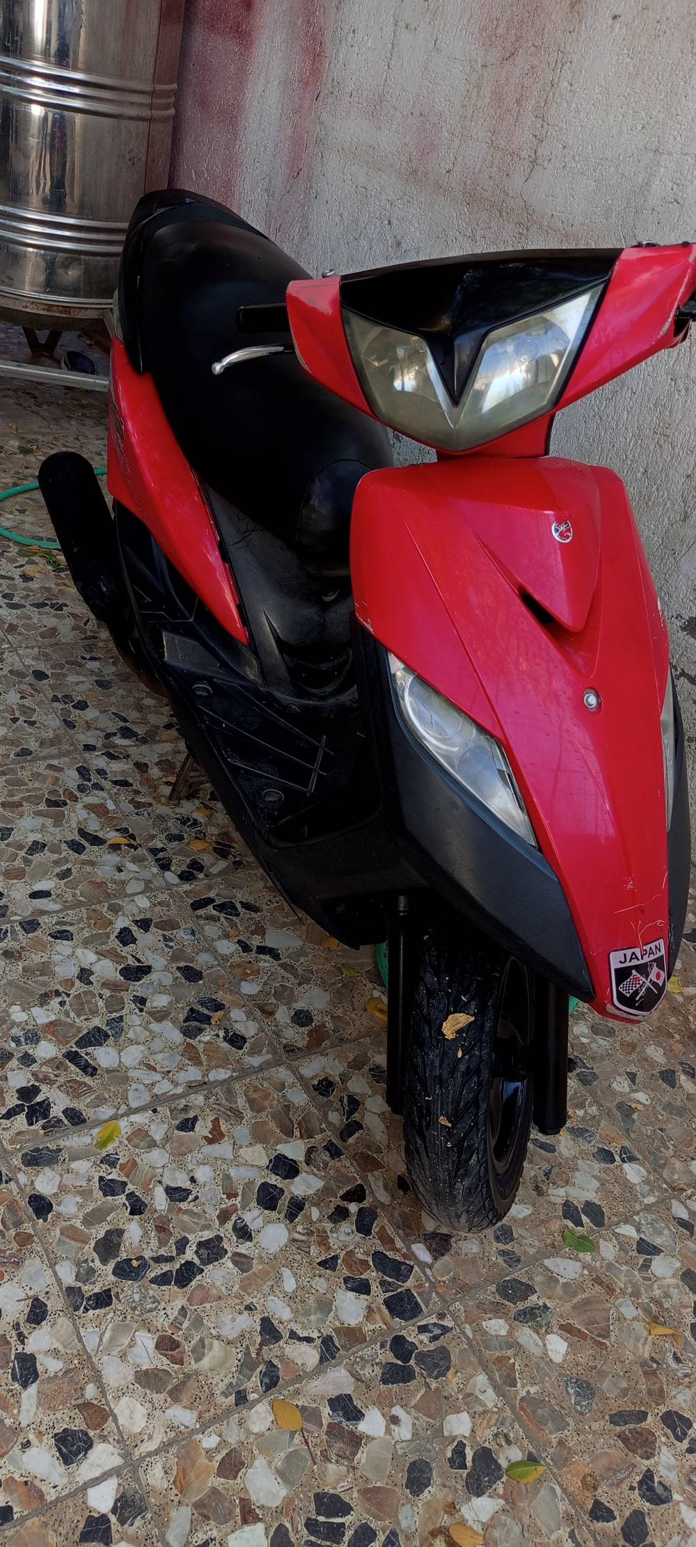 جيتي ار • ثعلب • بغداد