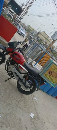 بوكسر جبلي • مكنيه كايمه • ٢٠٢٢