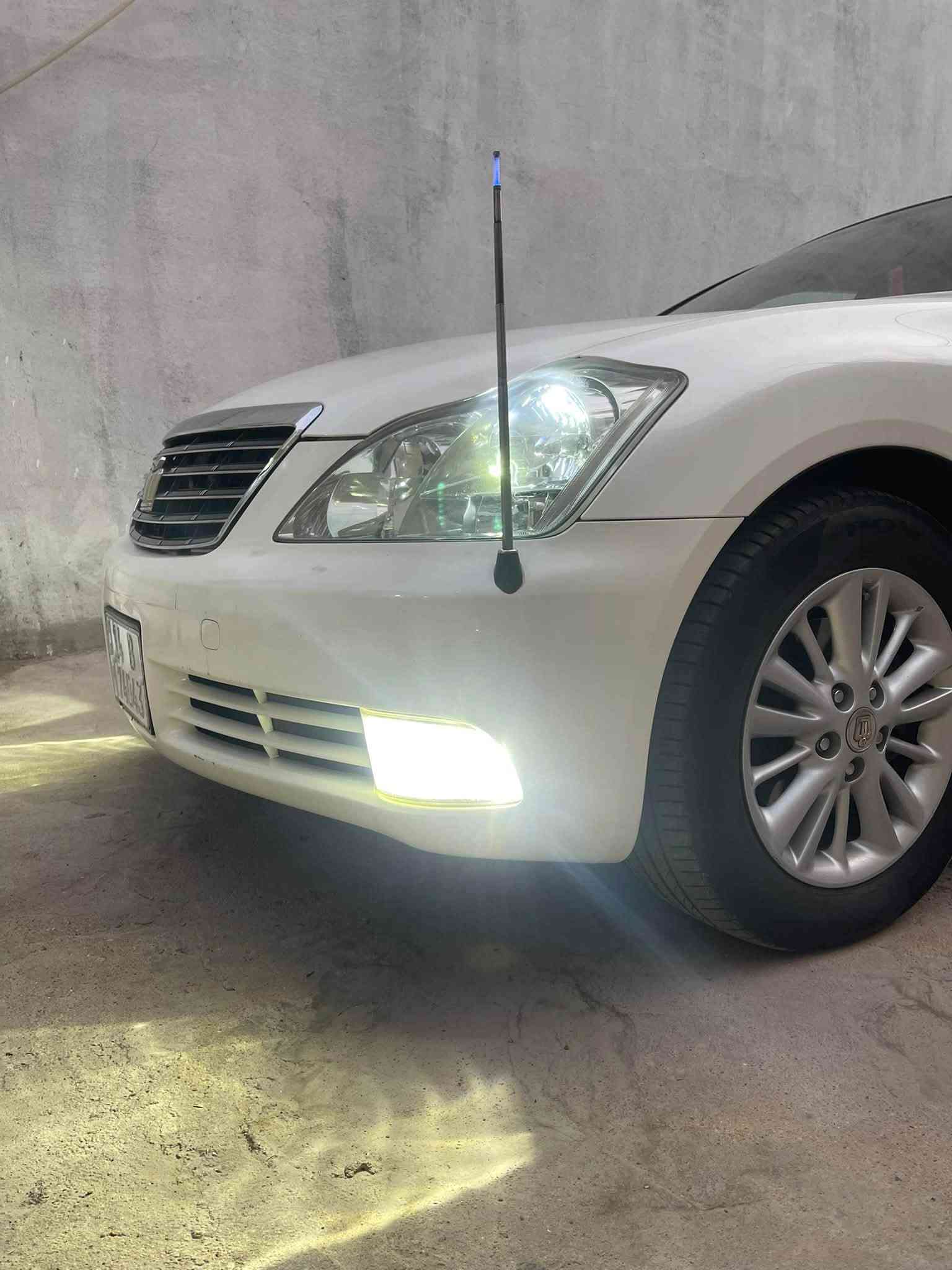 شاهينه • تسجيل بصره • فول