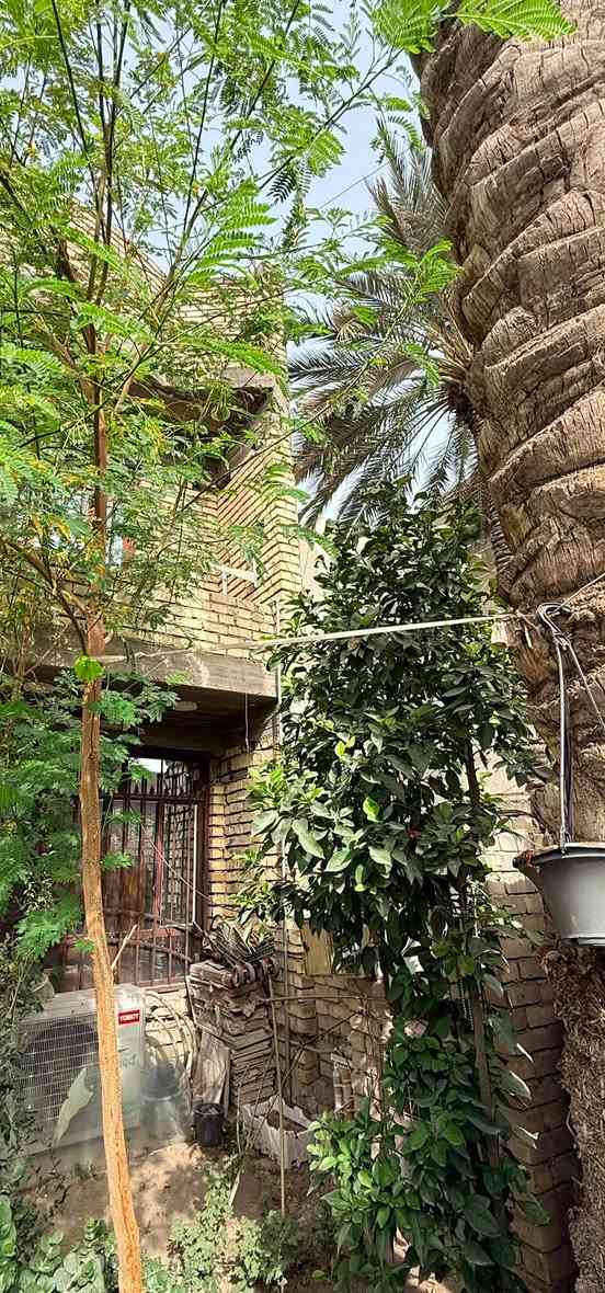 حي القاهرة الثانية • ١٦٤٫٨م • دورين