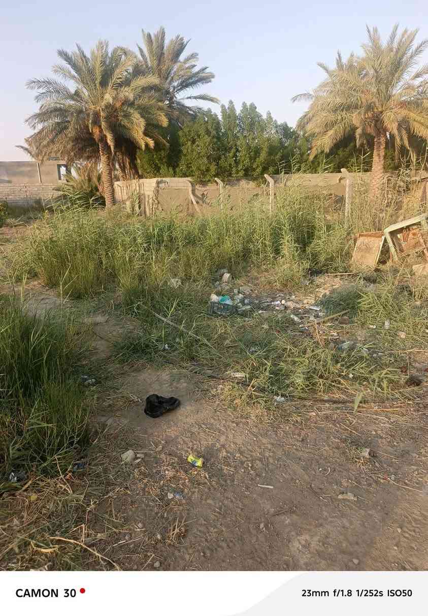 السلام عليكم عندي نص دونم محتاج فلاح يرتبه للتواصل ***********
