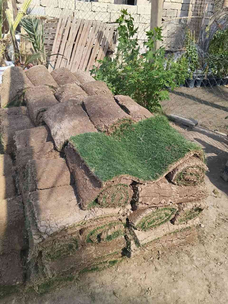 سلام عليكم ورحمة الله وبركاتة
يوجد لدينا ثيل هندي درجة أولى متر مربع  5لف ولقطعة 2500

طول متر عرض 50 الحجز والستفسار 

أبوبلال\ ***********📞
