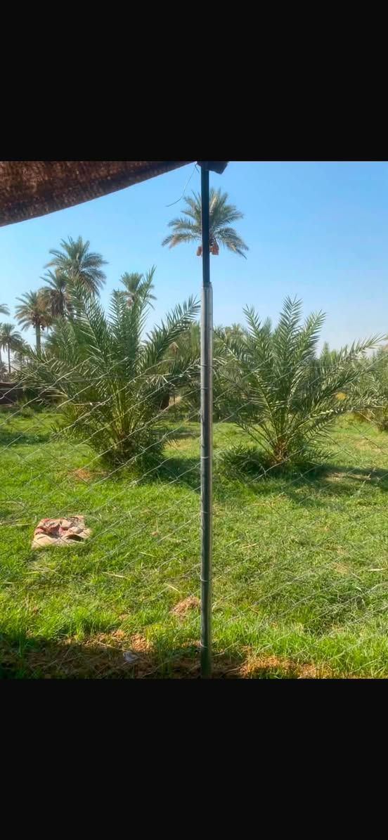 السلام عليكم محميه مال دجاج جديده للبيع استخدام ١٠ ايام
تتكون من 

٨ بوري بي آر سي 

باب بي آر سي 

سياج بي ار سي ٣٥ متر 

حديد أقواس عدد ٣ سقفيات 

جادر اصلي ٢٠ متر 

بسعر مناسب 

مكاني بابل القاسم 

***********
