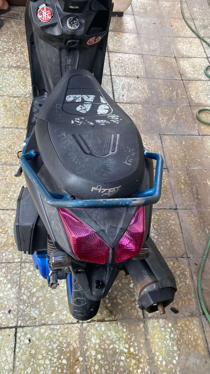 سكنس جبلي • معدل • زنون