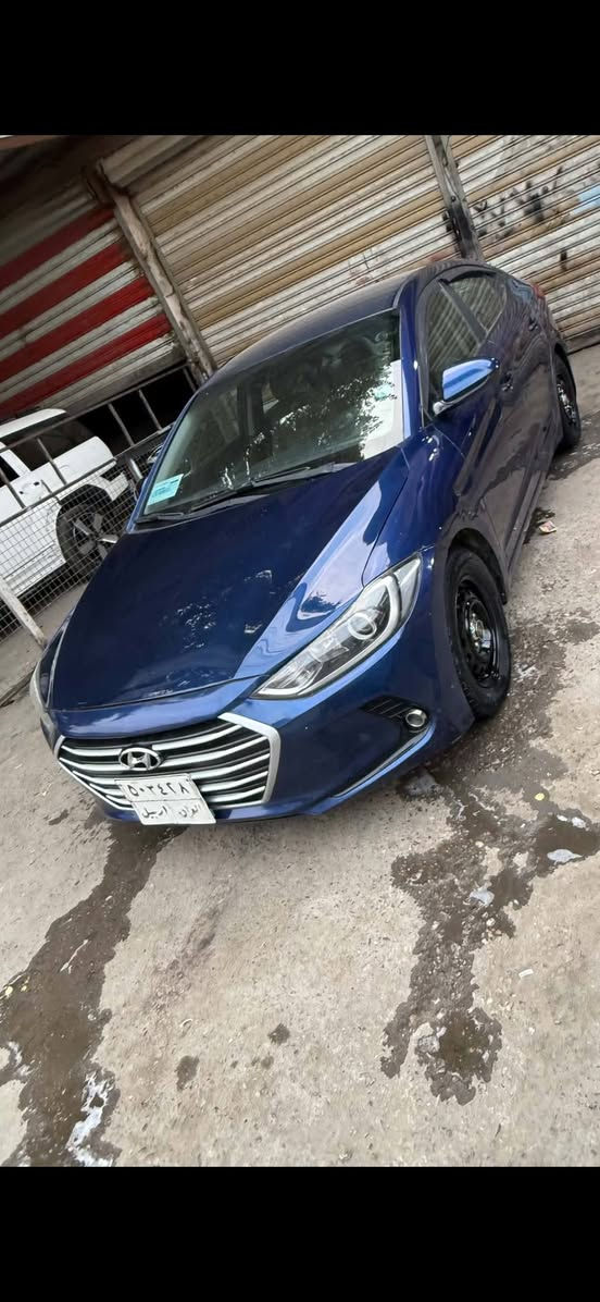 النترا • ٢٠١٧ • رقم اربيل
