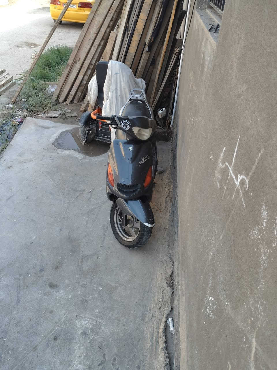 دولفين • نضيفه • ٨٠