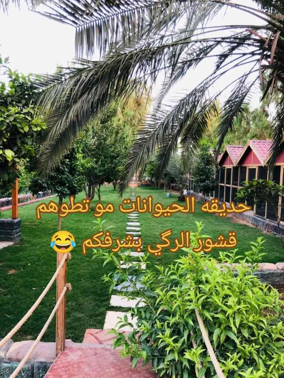 مزرعة • شاطئية الزعفرانية • مسبح