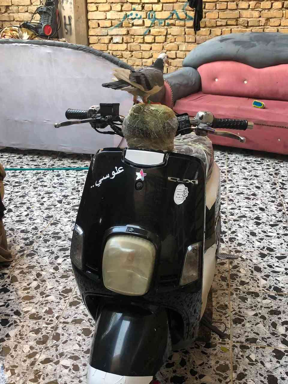 سلام عليكم 
دراجه ماكس بليسي مفتوحه للبيع دراجه جهازه كلها شغاله سعر ٥٠٠ وبيها مجال قليل مكاني ناصريه مركز 
***********
