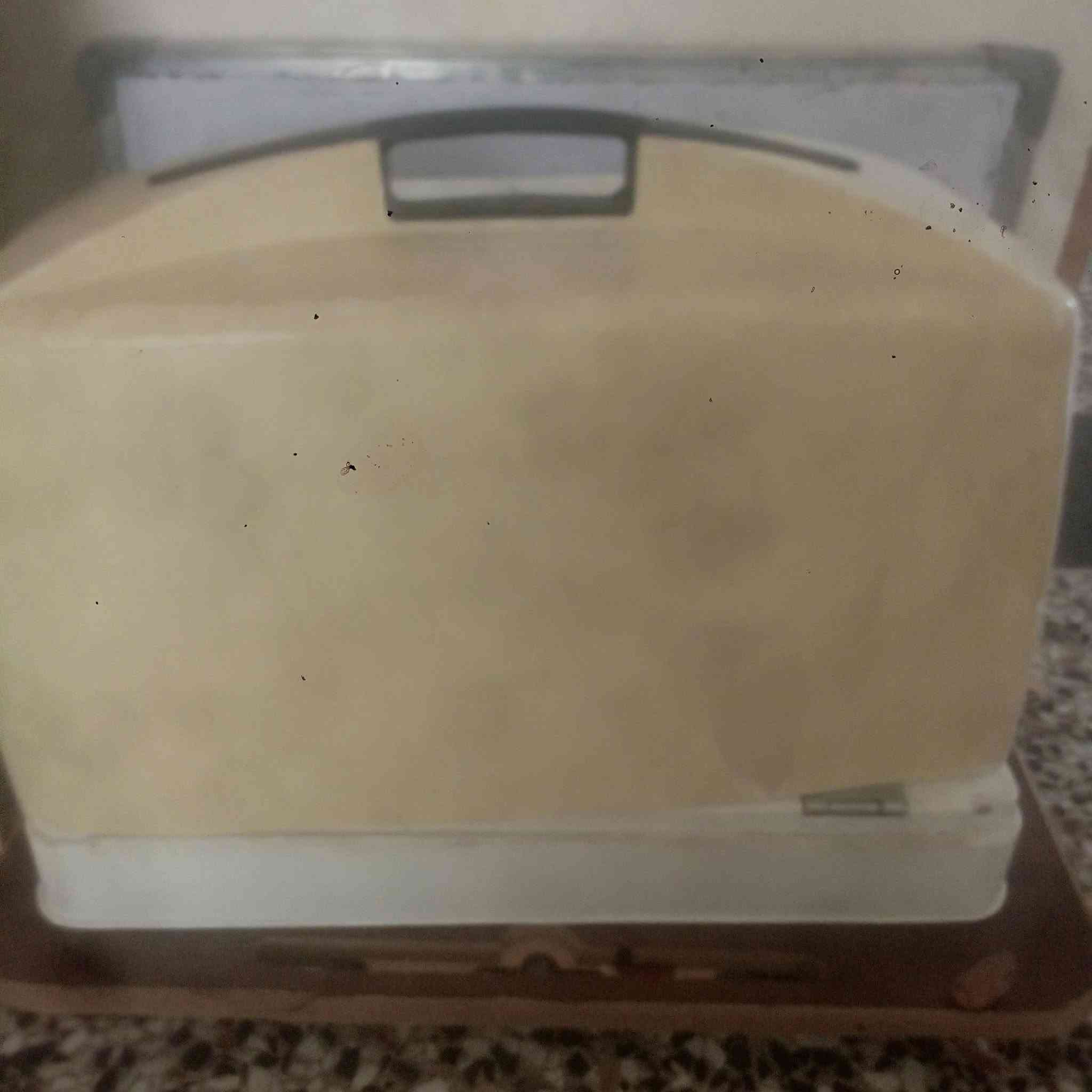 مكينة خياطة • شغاله • بصرة