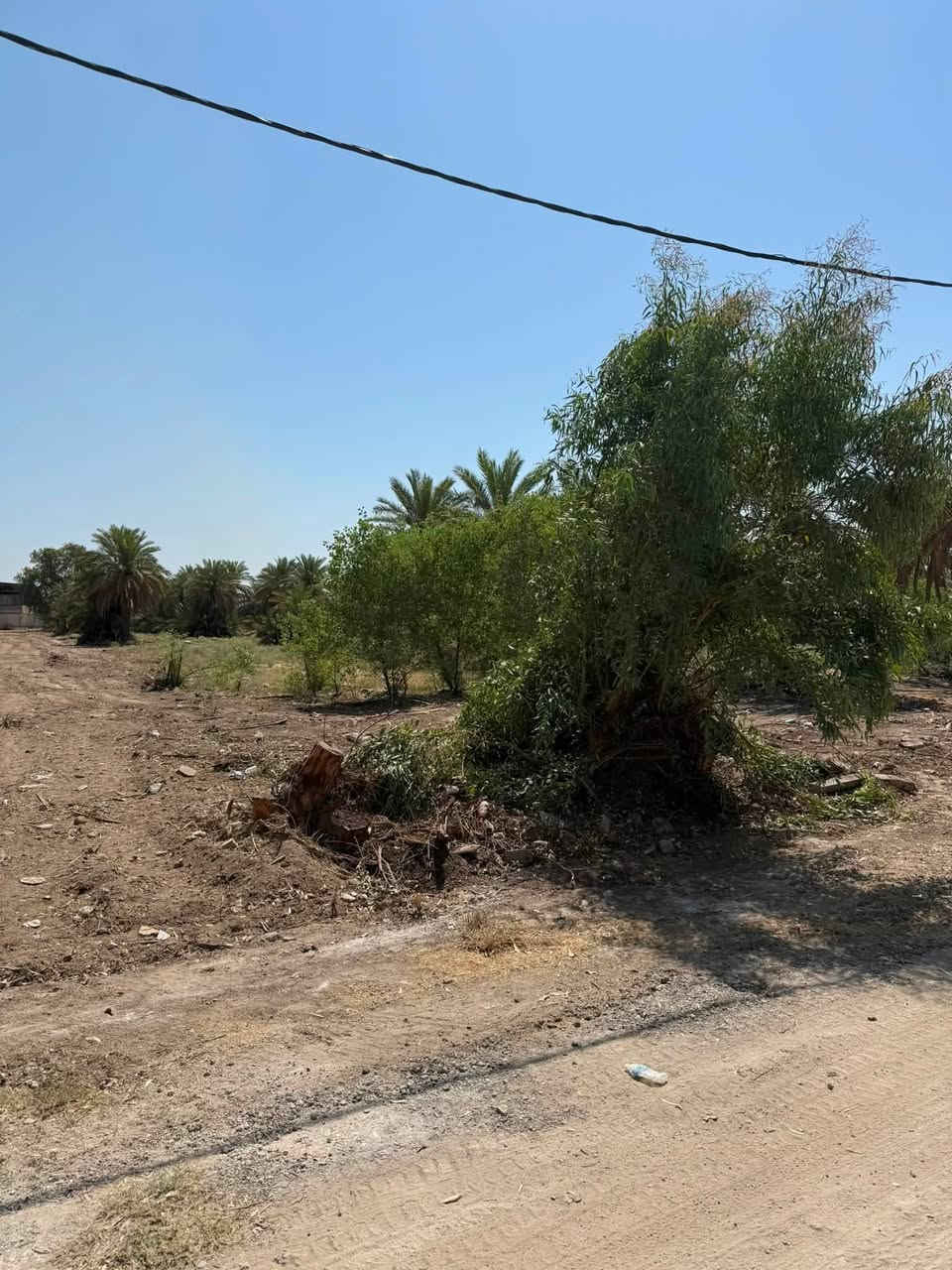 السلام عليكم دوانم للبيع طابو 25 زراعي بستان
تباع دونم دونمين او ثلاثه حسب الطلب 
الاستفسار *********** ما تنطي فلوس إذا مو فتح بيان
