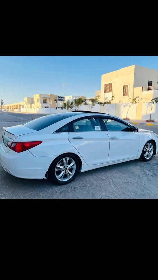 ٢٠١١خليجي فول بغداد سعر ٨٨
***********واتساب
