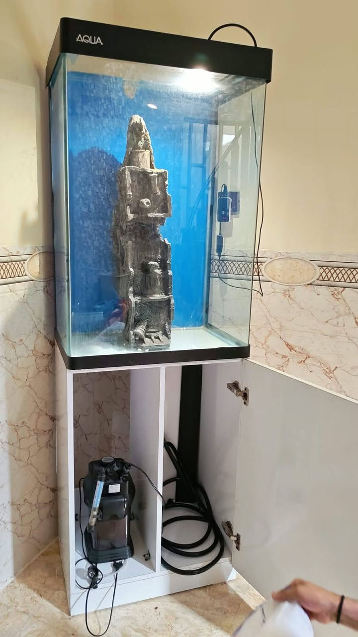 السلام عليكم..... 

حوض سمك للبيع جديد الطول ١٧٢سم مستعمل اسبوع بس 
جديد أي شيء مابي + مع المحلقات مالاته
المكان بغداد م/ الصدر 
ويوجود توصيل داخل بغداد فقط 
السعر:  500 وبي مجال ميعجبك لا تعلق لا تراسل 
الاستفسار:***********
متوفر واتساب

