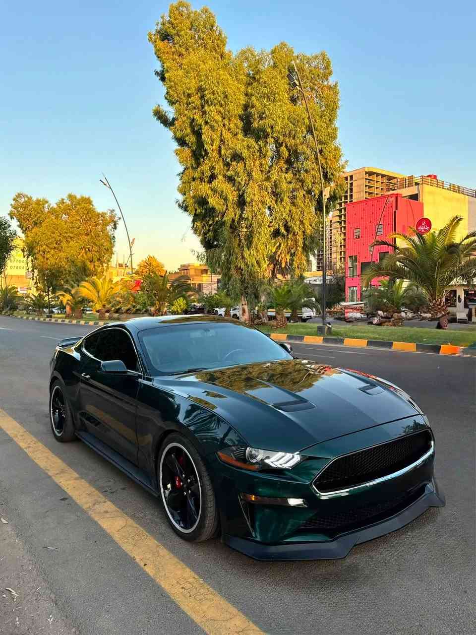 المدفع  للبيع  Gt  bullitte🔥🕹️
  
الموديل: 2019
المحرك: V8 / 5000
الكير: عادي
العداد: 34 الف 
اللون: اخضر زيتوني
الحالة او نوع الضرر: 3 قطع  صبغ  
المواصفات: فول مواصفات للخير خنك لان بولت 1/1
 الاضافات و التزويد:
شباب البولت  لتقارنها بالجيتي العادية  5  قطع  لو ٦ بالعراق 
كير عادي بي رف ماتج
عداد دجتل
عدادات تراك بكج
رادار جانبي
رادار خلفي
كشنات ريكارو بلاديه
دركه كاربون فايبر
سيستم سماعات b&o
اكتف اكزوز
التزويد عليها شوتة شيلبي 
ثلاجه شيلبي
هدرز ugr 
واكس بايب
داون بايب 
كلج مكلاود 
سقف رولز رويز 
دفيوزر شلبي
بكلايت سموك اوربي 
السيارة  مبرمجة  بوب كورن  طلقات  وكت اوف 
بين قوسين سيارة قوية  مال زللم
مطلعة رقم حلو عالداينو + 500hp 🔥
رقم بغداد جديد  سنوية باسمي  تحويل ثاني يوم.
السعر  خاص  خابرني   
هذا رقمي  مكاني  اليرموك او زيونة  ***********  سجاد الخفاجي
