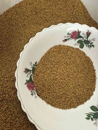جت • عراقي • نضافة