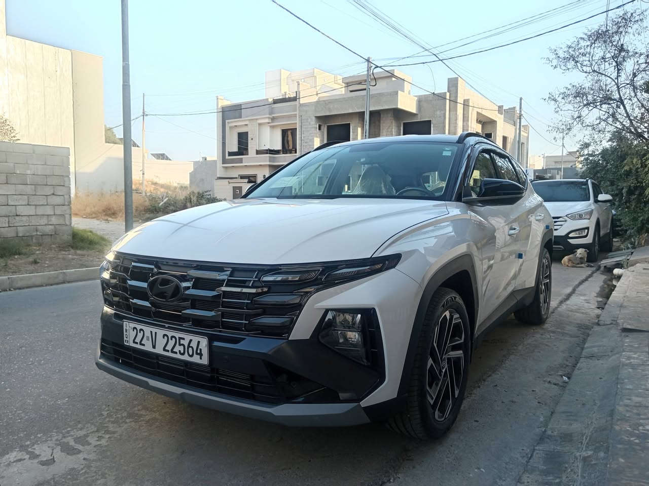 ‏Hyundai Tucson2026 توكسون سقف اسود
رقم اربيل المكان موصل 

🚘سقف حديد اسود  🚘
صندوق كهربائي  🚘
ويل 19 كروم 
دشبول شاشة متصل 🚘
🔸 بصمة وتشغيل عن بعد
🔹 حساسات أمامية وخلفية
🔸 اوتو هولد
🔹 هاند بريك كهربائي (بصمة) 
🔸 مساعد نزول منحدرات
🔹 شحن وايرلس  
🔸 ABS
🔹 مرآه جانبية قابلة للطي
🔸 المقاعد الامامية كهربائية  مع تبريد مخمل قماش
🔹شاشة 8 انج تدعم ابل كاربلي واندوريد اتو
🔸نظام تبديل القيادة سبورت و نورمل و ايكو
🔹 لايتات دوارة لانارة اقوئ في الزوايا الميتة 
🔸كاميرا خلفية دوارة 
🔹مثبت سرعة 
🔸اضاءة نهارية LED
🔹ستائر خلفية متحركة
🔸ويل 19 كروم
🔸صندوق كهرباء
💥ضمان 3 سنوات أو 60,000KM مع تبديل دهن واحدة
ماشية 5300 كيلو متر مكفولة كفالة عامة 
السعر 243 $
للتواصل على الرقم ***********
