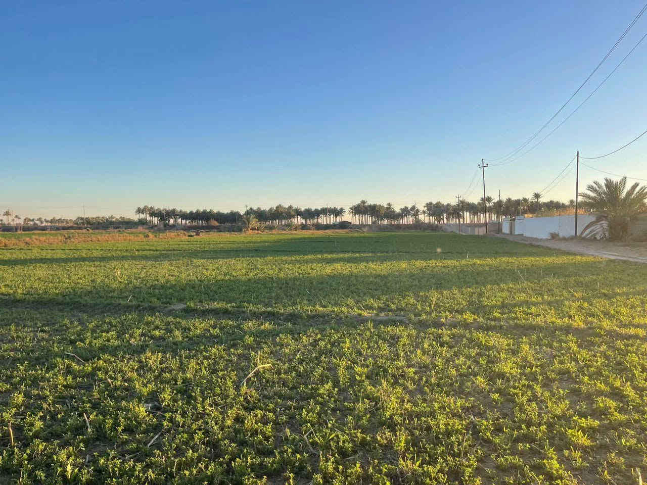 🌊 قطعة أرض شاطئية مميزة للبيع | فرصة استثمارية نادرة 🌿

📍 الموقع: الرمادي – ناحية اليرموك – بالقرب من جسر الشيخ علي حاتم
📐 المساحة: خمسة دونم أو أقل، وتُحسب المساحة الفعلية عند البيع.

📜 طابو زراعي سند ٢٥ – تحويل مباشر ✅

⭐ مميزات الموقع:
🔹 تقع الأرض بين السدة ونهر الفرات
🔹 واجهة مميزة على السدة بطول ٣٢ متر
🔹 واجهة ثانية مباشرة على النهر بطول ٤١ متر
🔹 موقع جغرافي مميز وخصوصية عالية
🔹 مناسبة للزراعة والاستثمار والسكن
🔹 تصلح لإنشاء مزرعة، استراحة، منتجع، مشروع سياحي أو أي مشروع استثماري مناسب للموقع
🔹 متوفر الماء والكهرباء والتبليط
يوجد طريق نازل من السده إلى نهر الفرات خارج حدود الأرض 
💰 السعر والاستفسار:
📞 *********** — واتساب
📞 *********** — واتساب

📩 أو مراسلة الصفحة في أي وقت.

🙏 نعتذر عن التأخير عن الرد في بعض الأحيان، ونقدّر تفهّمكم.

🏠 مكتب عدنان العسافي للخدمات العقارية
📍 نستقبل جميع العروض العقارية في مدينة الرمادي.

أبو أحمد

#أرض_للبيع #أراضي_للبيع #أرض_شاطئية #أرض_على_النهر #نهر_الفرات #السدة #الرمادي #ناحية_اليرموك #زنگورة #عقارات_الرمادي #عقارات_الانبار #عقارات_العراق #أراضي_زراعية #طابو_زراعي #سند_25 #تحويل_مباشر #استثمار_عقاري #مشروع_استثماري #استثمار #مزرعة #مزرعة_للبيع #استراحة #مشروع_سياحي #سكن #بيت_العمر #عروض_عقارية #مكتب_عقاري #الخدمات_العقارية #عقارات #عقار #الانبار #مدينة_الرمادي #نهر_الفرات_الرماديإ
