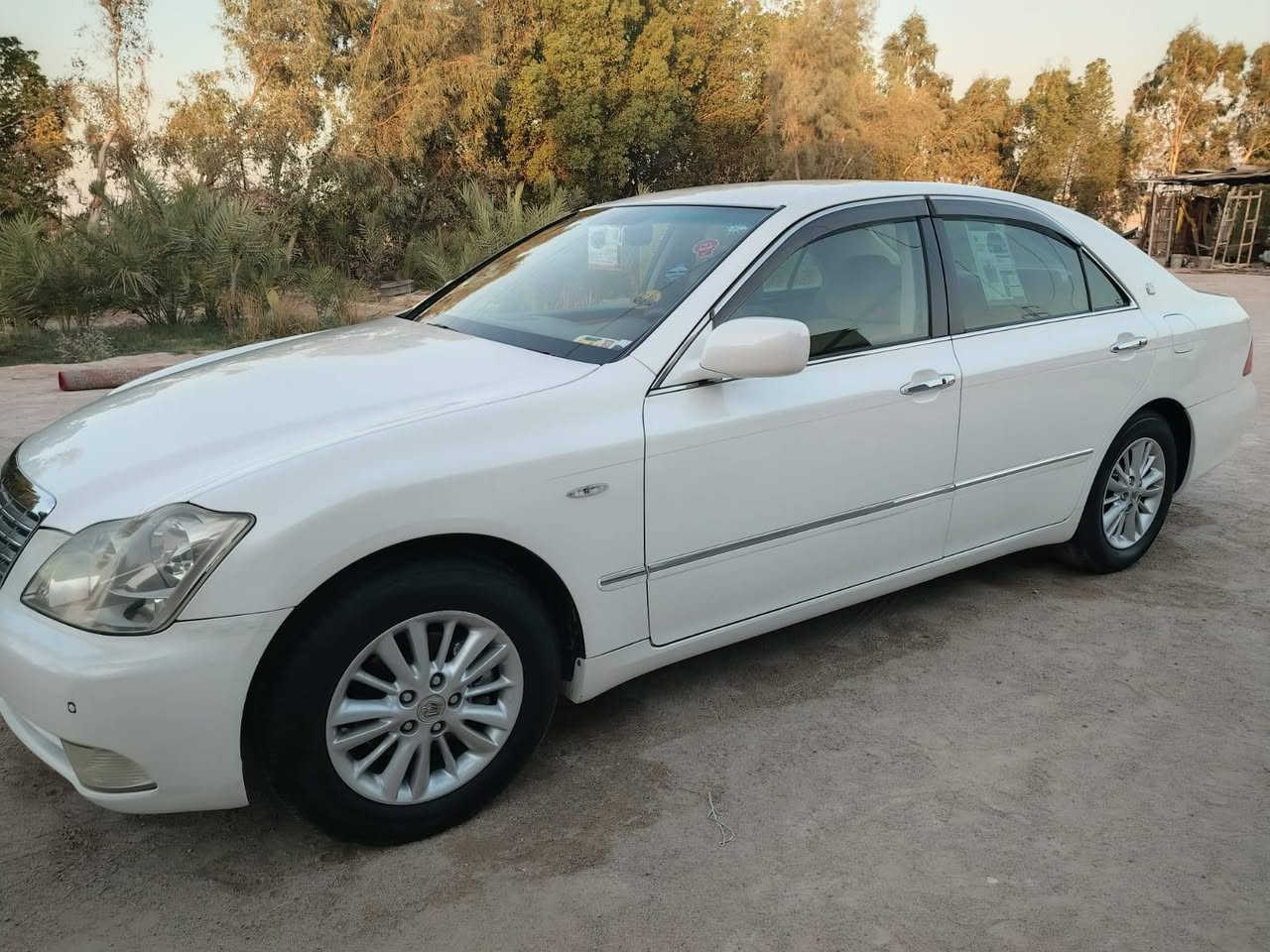 شاهينه • ٢٠٠٨ • شاصي ٨٠